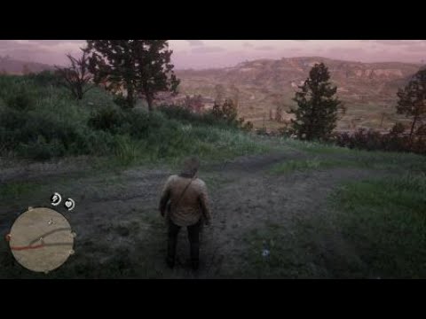 「碧血狂殺2」路邊隨機事件 red dead redemption ii